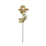V.RANUNCULUS X4