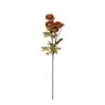 V.RANUNCULUS X4