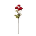 V.RANUNCULUS X4