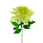 VARA DALIA 75CM *FUXIA