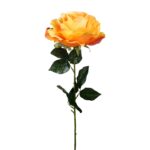 VARA ROSA 70CM *FUXIA