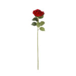 VARA ROSA