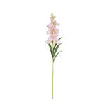 VARA ORQUIDEA