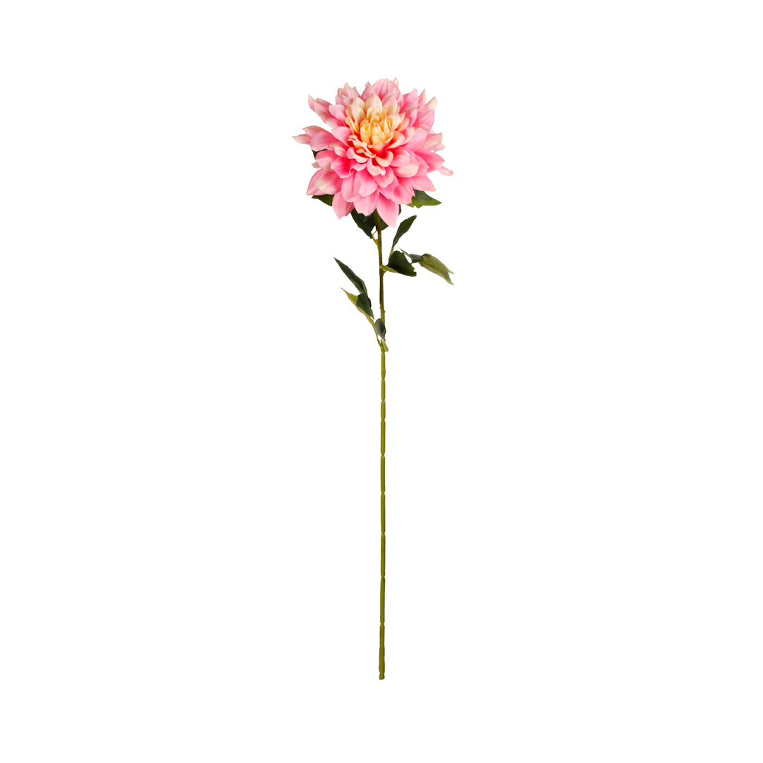 3074-16.jpg ZINNIA GRANDE
