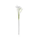 VARA ORQUIDEA