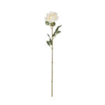 ROSA PEQUEÑA NAVIDAD