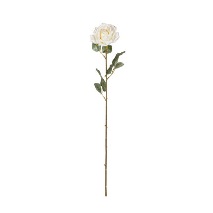 ROSA PEQUEÑA NAVIDAD