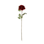 ROSA PEQUEÑA NAVIDAD