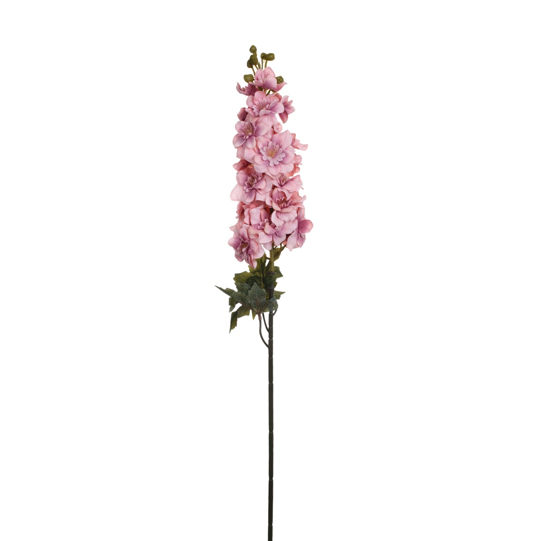 343433-16.jpg VARA DELPHINIUM