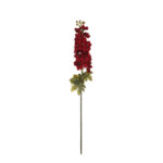VARA DELPHINIUM