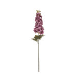 VARA DELPHINIUM