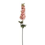 VARA DELPHINIUM