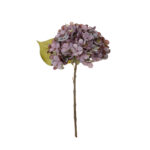 PICK HORTENSIA