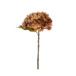PICK HORTENSIA