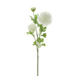 V.ZINNIA X3 *FUXIA