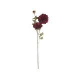 V.ZINNIA X3 *FUXIA