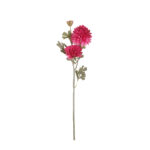 V.ZINNIA X3 *FUXIA
