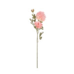 V.ZINNIA X3 *FUXIA
