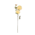 V.ZINNIA X3 *FUXIA
