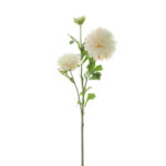 V.ZINNIA X3 *FUXIA