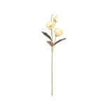 VARA MAGNOLIA
