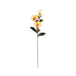 VARA MAGNOLIA