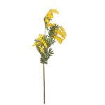VARA MIMOSA 80CM