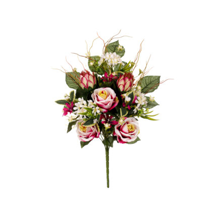 R.ENC.ROSAS/PROTEA X17 *FUXIA