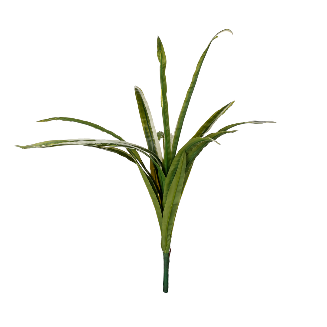 418693-19.jpg MATA HIERBA