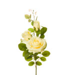 ROSA X3 AVALANCHE *CHAMPAM