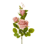 ROSA X3 AVALANCHE *CHAMPAM