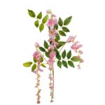 VARA WISTERIA X3 *FUXIA