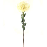 VARA MAGNOLIA X3 (ROSA)