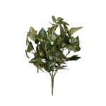 MATA HOJA ANTHURIUM