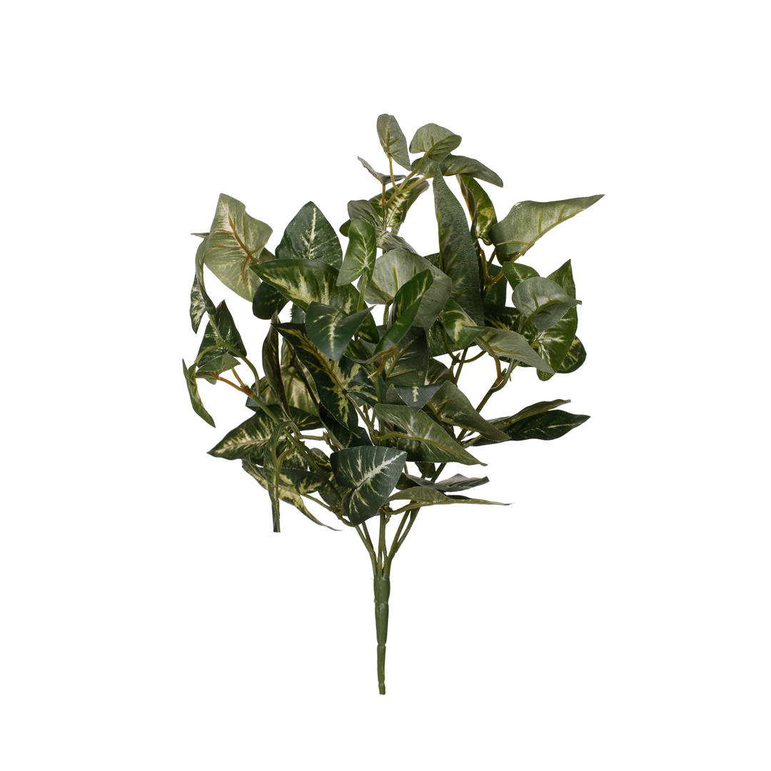 471612-19.jpg MATA HOJA ANTHURIUM