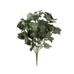 MATA HOJA BEGONIA