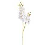 VARA ORQUIDEA MINI X2