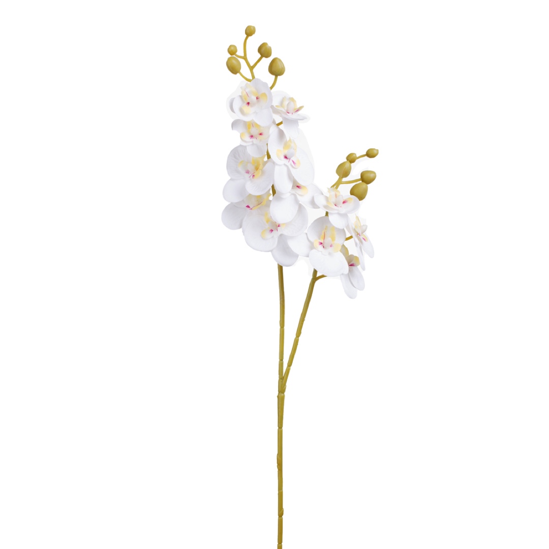 473920-0.jpg VARA ORQUIDEA MINI X2