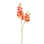 VARA ORQUIDEA MINI X2