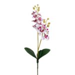VARA ORQUIDEA MINI X2