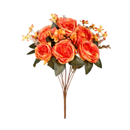 R.PEONIA ABIERTA OTOÑAL *FUXIA