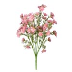R.CALANCHOE OTOÑAL