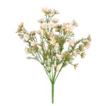 R.CALANCHOE OTOÑAL