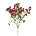 R.CALANCHOE OTOÑAL