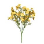 R.CALANCHOE OTOÑAL