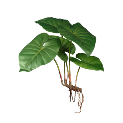 MATA RAICES HOJA CALA