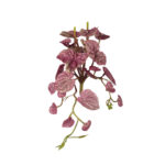 MATA MINI HOJA ANTHURIUM