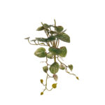 MATA MINI HOJA ANTHURIUM