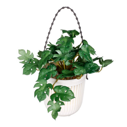 MACETITA COLGAR COSTILLA