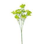 VARA GYPSO GOMA *V.OSCURO